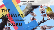 高松市の訪日外国人向け観光情報サイトがフルリニューアル「Experience Takamatsu -Sense of Wonder-」